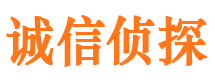 囊谦侦探调查公司